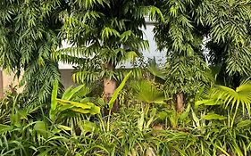 Mittal Farm