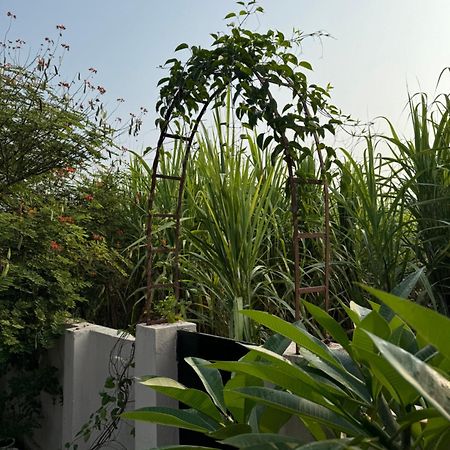 The Bougainvillea Cottage Farmstay Near Dehradun , 2 Bedroom Private Cottage Next To Fields And Orchards With Hill Views Exterior photo
