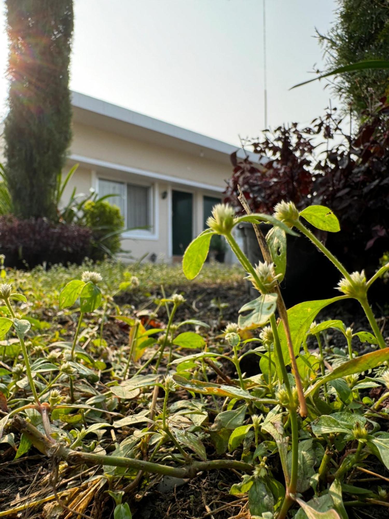 The Bougainvillea Cottage Farmstay Near Dehradun , 2 Bedroom Private Cottage Next To Fields And Orchards With Hill Views Exterior photo