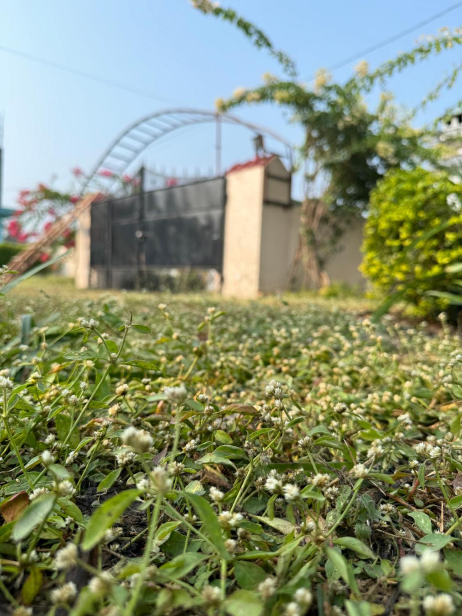 The Bougainvillea Cottage Farmstay Near Dehradun , 2 Bedroom Private Cottage Next To Fields And Orchards With Hill Views Exterior photo